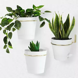 Wall Planters for Indoor Plants 3 Pack 6 Inch Flower Pot Holders Metal Ring with - Picture 1 of 12
