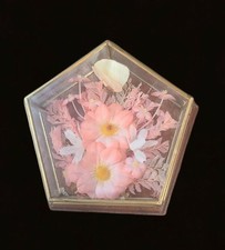 Vintage Glass Cased Butterfly & Flowers Haning Wall Art Decor Pink and White (A1