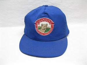 Vintage Catamount Vermont Brewery Beer Trucker Baseball Hat Cap Snap Back Old - Picture 1 of 6