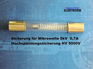 Mikrowellen Sicherung Hochspannungssicherung  5KV 6,5x40mm.  0,7A - 700mA    - Bild 1 von 1