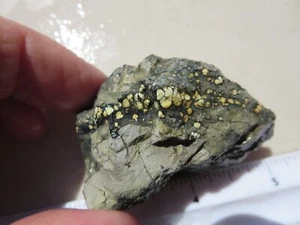 3018 TOMCAT VARISCITE ROUGH, CRESCENT VALLEY, NV. RARE, EX OLD TIME ROCK SHOP - Picture 1 of 4