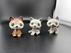 Littlest Pet Shop LPS Authentic POLAR PUPPIES Husky Dogs #68 69 70 - Picture 1 of 14