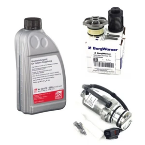BorgWarner Hydraulic Pump Filter Haldex Clutch 1 Litre Oil for VW Audi / S - Picture 1 of 9