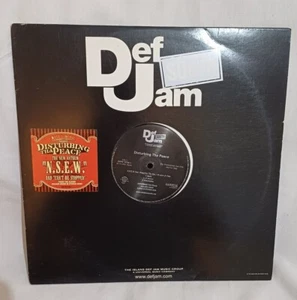 LUDACRIS DISTURBING THE PEACE N.S.E.W. AND CAN'T BE STOPPED 12" VINYL SINGLE EX - Picture 1 of 4