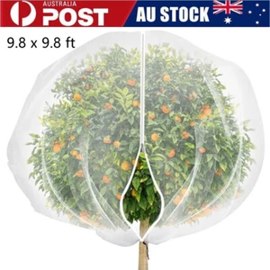 9.8 x 9.8 ft Large Fruits Tree Insect Netting Cover with Zipper and Drawstring - Picture 1 of 14