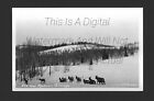 Elk Migrating Meeker Colorado Snow Winter Scenery Dops 1925-1942 Rppc Postcard