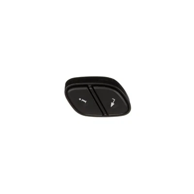 Driver Information Display Switch for Envoy, Rainier, Silverado 1500+More DS2477 - Image 1 of 4