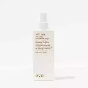 Evo Salty Dog Salt Spray 200ml Evo Sea Salt texturizing spray GENUINE EVO STOCK - Picture 1 of 5