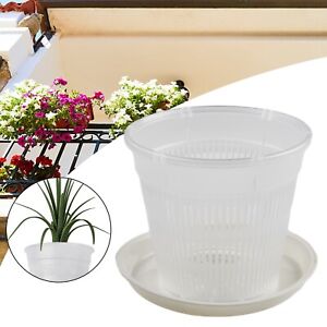 Clear Plastic Pot for Orchids allowing Easy Observation of Growth Process