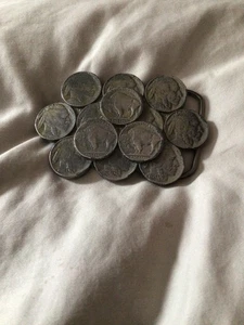 Vintage Büffel Nickel Gürtelschnalle. NACHLASSFUND - Bild 1 von 3