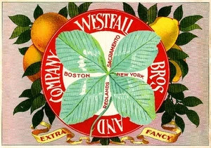 Redlands Irish Ireland Kleeblatt Orange Zitrone Zitrus Obstkiste Etikett Kunstdruck - Bild 1 von 1