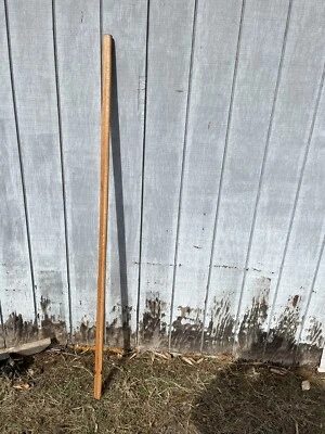 Lanza Maorí Taiaha Roble Rojo HEMA Entrenamiento LANZA HPMA Foto 1 de 4