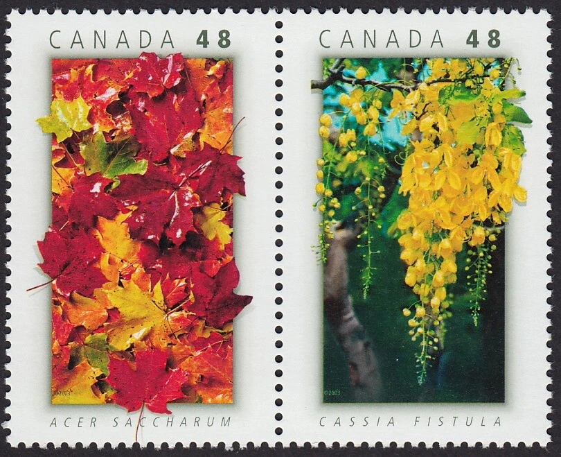 CANADA - THAILAND JOINT ISSUE- MAPLE CASSIA, EMBLEMS (RL) Canada 2003 #2001a MNH - Image 1 of 1