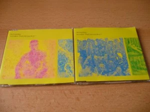 2 Maxi CD Set Pet Shop Boys - Se a vide e (That´s the way life is) CD 1 + 2 RARE - Foto 1 di 1