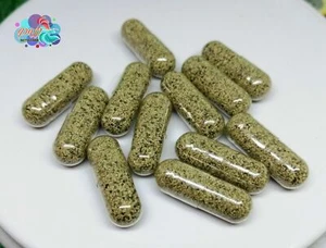 MOINA MACROCOPA EGGS (WATER FLEA) LIVE FOOD FOR BETTA GUPPY FISH NATURAL SOURCE. - Picture 1 of 6