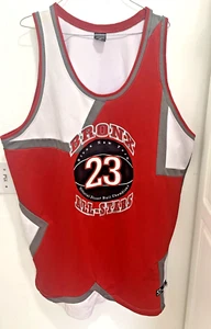 Camiseta deportiva de baloncesto Bronx All Stars #23 “Official Street Ball Champions” ~ talla 52 - Imagen 1 de 5