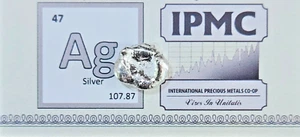 SILBERNUGGET 0,9999+ feine reine Barren mit Zertifikat 30,2gr Barren rund Münze Geschenk - Bild 1 von 5