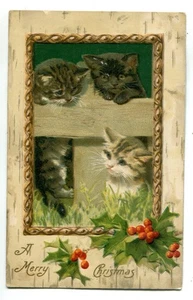Kittens, A Merry Christmas, Vintage Postcard - Picture 1 of 2