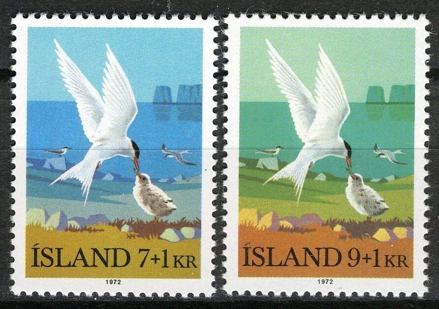 Islandia 1972, Aves, charrán ártico (Sterna paradisaea) conjunto en estado bastante bueno MNH, Mi 469-470 Foto 1 de 1