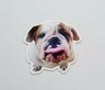 English Bulldog Christmas Funny English Bulldog Puppy Fridge Magnet – Cute Gift Card Insert For Toolbox Or Refrigerator English Bulldog Collar - Foto 5