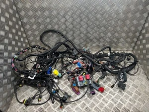 Relay Boxer Ducato 07-On Main Body Wiring 1643582680 GENUINE - Picture 1 of 16