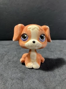 Littlest Pet Shop Sonrics Esclusivo Golden Retriever Messico (Super Raro) - Foto 1 di 8