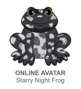 Webkinz Classic Starry Night Frog *nur Code* - Bild 1 von 3