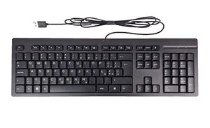 HP Wired Desktop 125 Tastatur Keyboard, QWERTZ Polnisch, schwarz, kabelgebunden - Bild 1 von 1