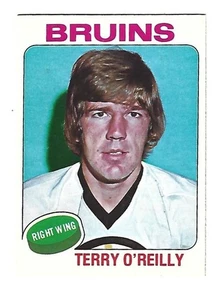 Terry O'reilly 1975 OPC #301 como nuevo - ¡tarjeta de alta calidad!!! - Imagen 1 de 1