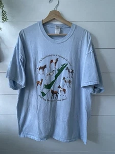 Vintage 90s CHINCOTEAGUE ISLAND HORSE LIGHTHOUSE T-Shirt XXL Gildan Lt Blue - Bild 1 von 11