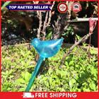 hot Plant Waterer Bird/Ball Shape PVC Drip Irrigation Automatic Watering Devices