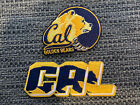 (2) California CAL Golden Bears Vintage Embroidered Iron On Patch Lot  Patches