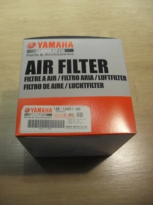 FILTRO DE AIRE ORIGINAL YAMAHA FZ750 FZR1000 TDM850 XJ900 ELEMENTO FILTRO LIMPIADOR DE AIRE Foto 1 de 3
