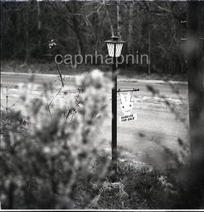 Abstract LAMP POST & Folk Art RABBITS FOR SALE Sign Vintage 1970 Negative Photo - Picture 1 of 1