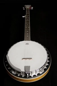Washburn Americana B9 G Banjo - Picture 1 of 4