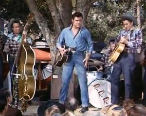 Elvis Presley   FRIDGE MAGNET 296 - Picture 1 of 1