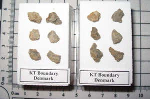 Kreidezeit KT KP Boundary Tonfragment in Vitrine - Stevns Klint 1/Gebot - Bild 1 von 5
