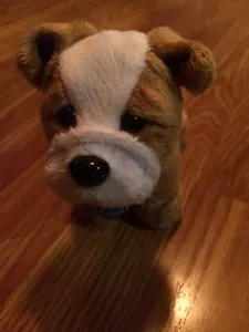 American Girl Dog Meatloaf - Picture 1 of 12