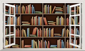 Fake Books Bookcase Shelf Animated Magic Window Sticker Wall Decal Print Poster - Picture 1 of 1