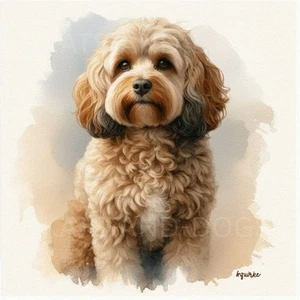 CAVAPOO COCKAPOO Watercolour Art Print PRESENT GIFT Birthday Christmas Sympathy - Picture 1 of 3