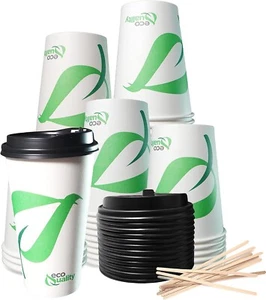 20oz Compostable White Paper Cups with Black Dome Lids and Wooden Stirrers 300pc - Picture 1 of 7