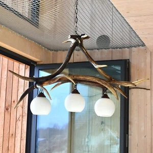 Real Antler Pendant Lamp for 3 lights - Picture 1 of 10