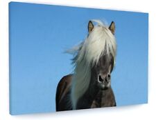 STUNNING HORSE ANIMAL CANVAS PICTURE PRINT CHUNKY FRAME 
