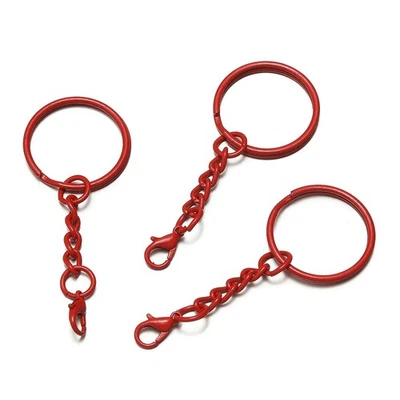 Juego de llaveros de 10 piezas de 25 mm de colores con cierres de langosta para joyería hágalo usted mismo Foto 1 de 4