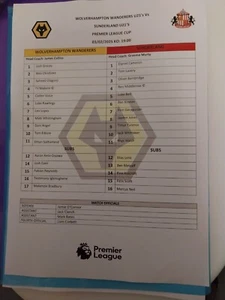  WOLVERHAMPTON WANDERERS RESERVES V SUNDERLAND PREMIER LEAGUE CUP  2025 - Picture 1 of 2