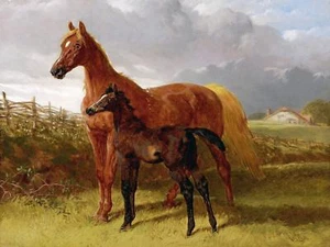 Caballo en un campo de J. Arenque azulejo de caballo mural cocina salpicadero cerámica 10x8 - Imagen 1 de 3