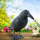 Repellent Life Size Crow Black Crow Decoration Scarer Pigeon  Courtyard Garden