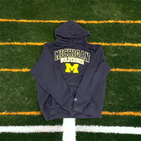 Michigan Wolverines Champion Sweatshirt Hoodie Mens XL Extra Large Eco Fleece Cover