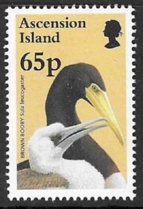 ASCENSION SG691 1996 65p BIRDS AND THEIR YOUNG MNH - Picture 1 of 1
