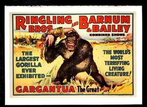 Carte de spectacles combinés Ringling Bros. et Barnum & Bailey - Photo 1/2